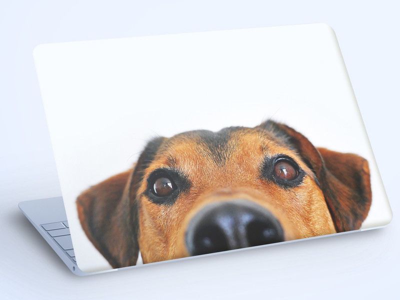LIKEIT Laptop Printed Sticker [Eco Vinyl}, {Matte Finish] for All Laptop 14 Inch 85 ECO VINYL Laptop Decal 14