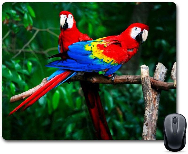 Furnish Fantasy FF_MousePad_0096 Mousepad  (Multicolor)