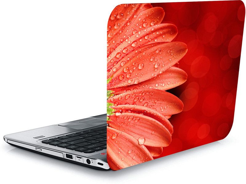 qthinfra QTH DYNAMIC DESIGN LAPTOP STICKER 15.5 Inch QTH-L16-1669 VINYL Laptop Decal 15.5
