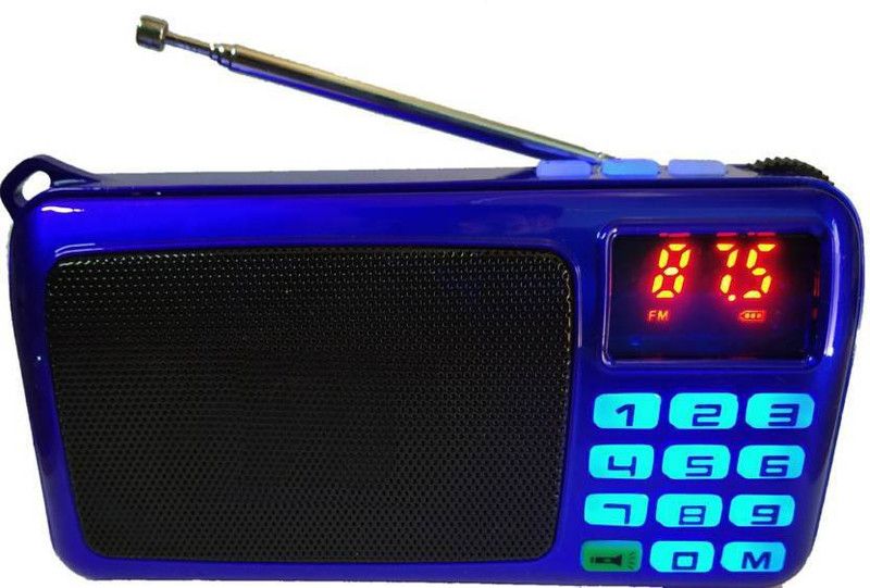 GLOWISH Portable Mini FM Radio Speaker Music Player TF Card USB For PC Phone with LED Display FM Radio  (Multicolor)