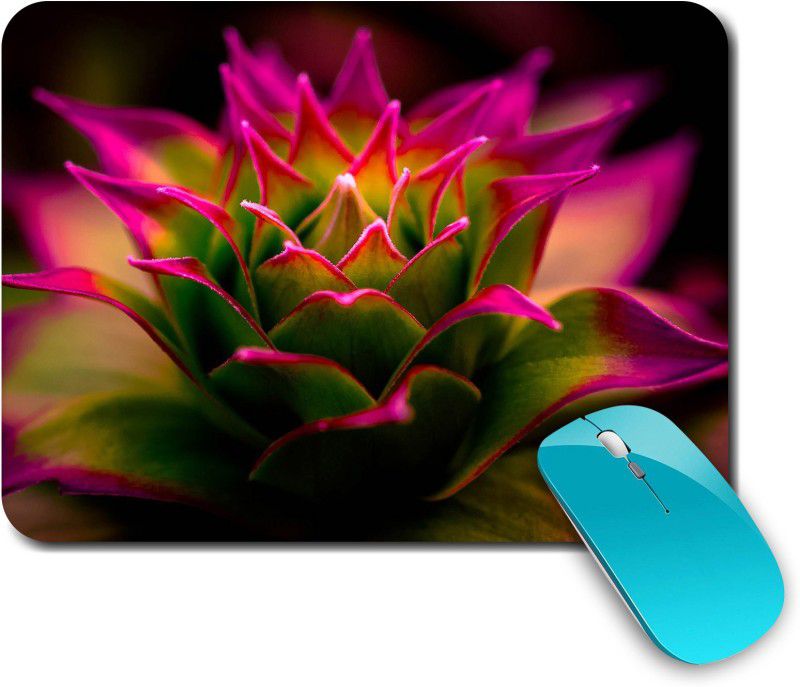 whats your kick Nature | Natural | Earth | Colorful |Creative | Printed Mouse Pad/Designer Waterproof Coating Gaming Mouse Pad For Computer/Laptop (Multi3) Mousepad  (Multicolor)