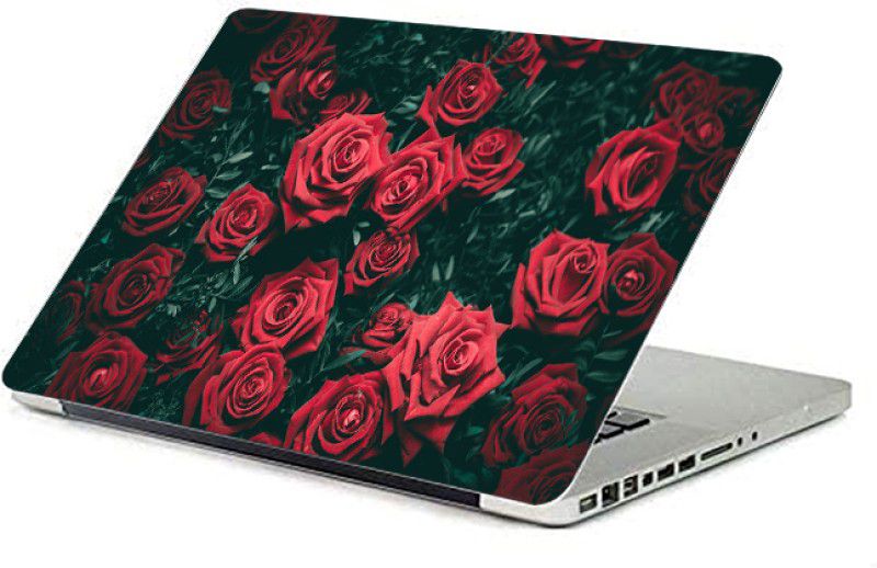 Sikhash Laptop Skin Sticker HD Printed Skin Sticker for Laptop Size upto 14 inch R904 Matte Finish Self Adhesive Vinyl Laptop Decal 14