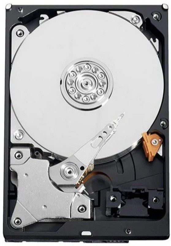 DAICHI V17 5 500 GB Desktop Internal Hard Disk Drive (HDD) (500GB SATA HARD DRIVE)  (Interface: SATA, Form Factor: 3.5 inch)