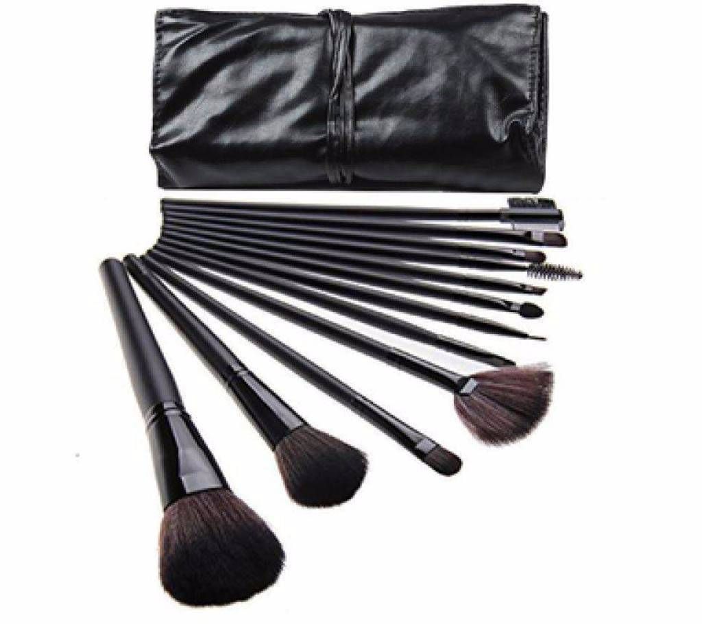 Professional Makeup Brushes Set 12 Pieces 