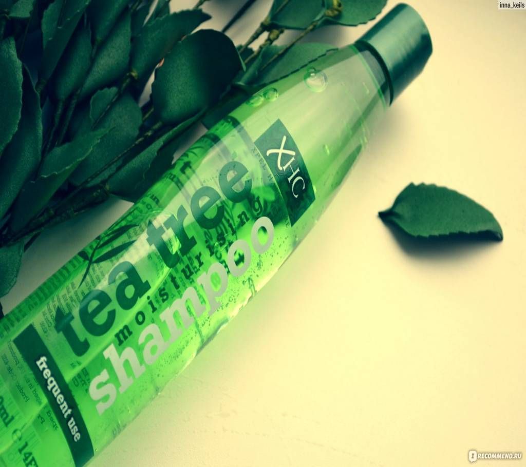 XHC Xpel Hair Care tea tree