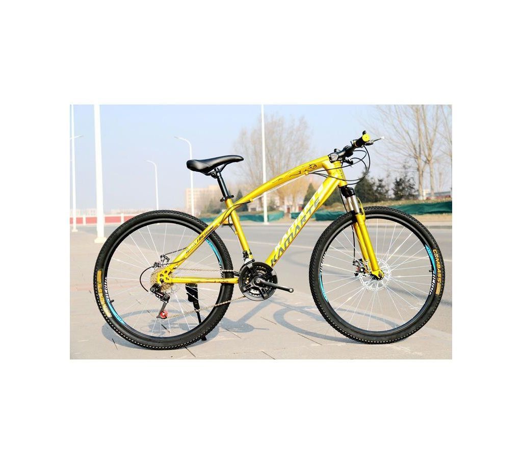 ADULT BICYCLE