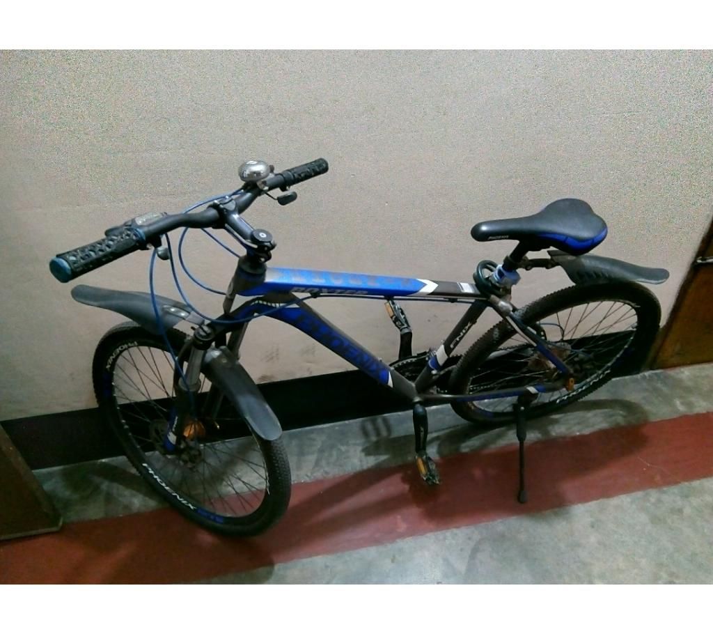 China Phoenix Boxter bicycle