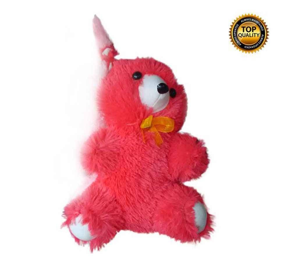 Valentines special teddy gift