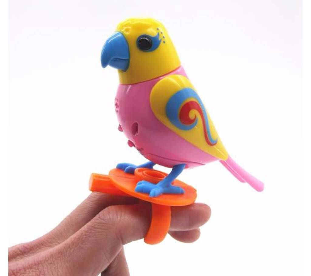 Singing Parrot Birds 