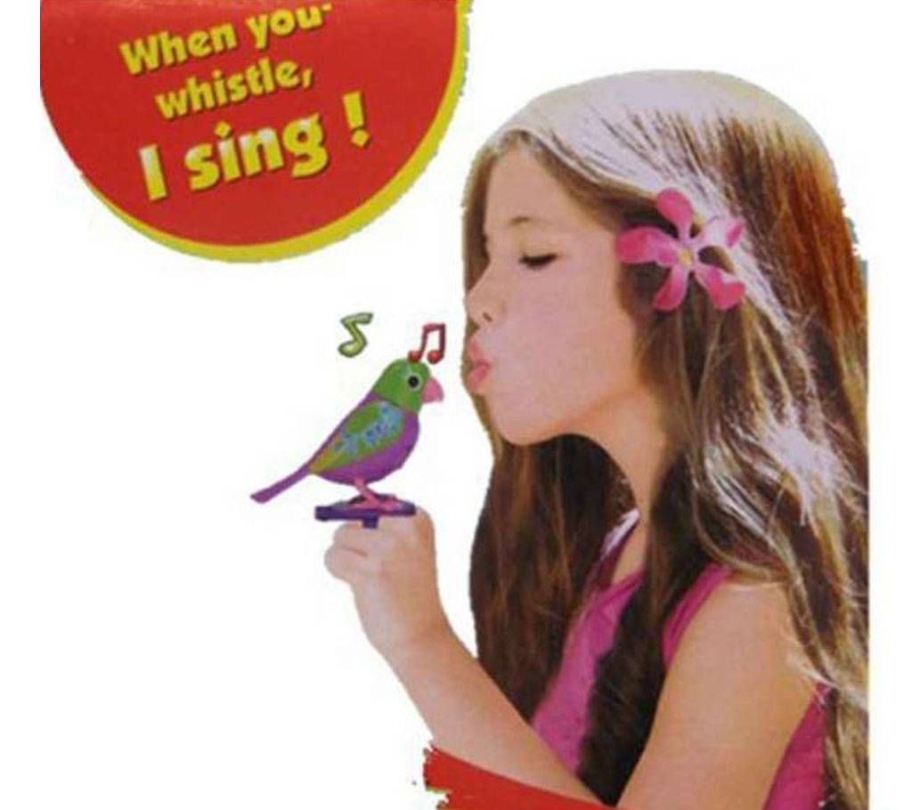 Singing Parrot Bird