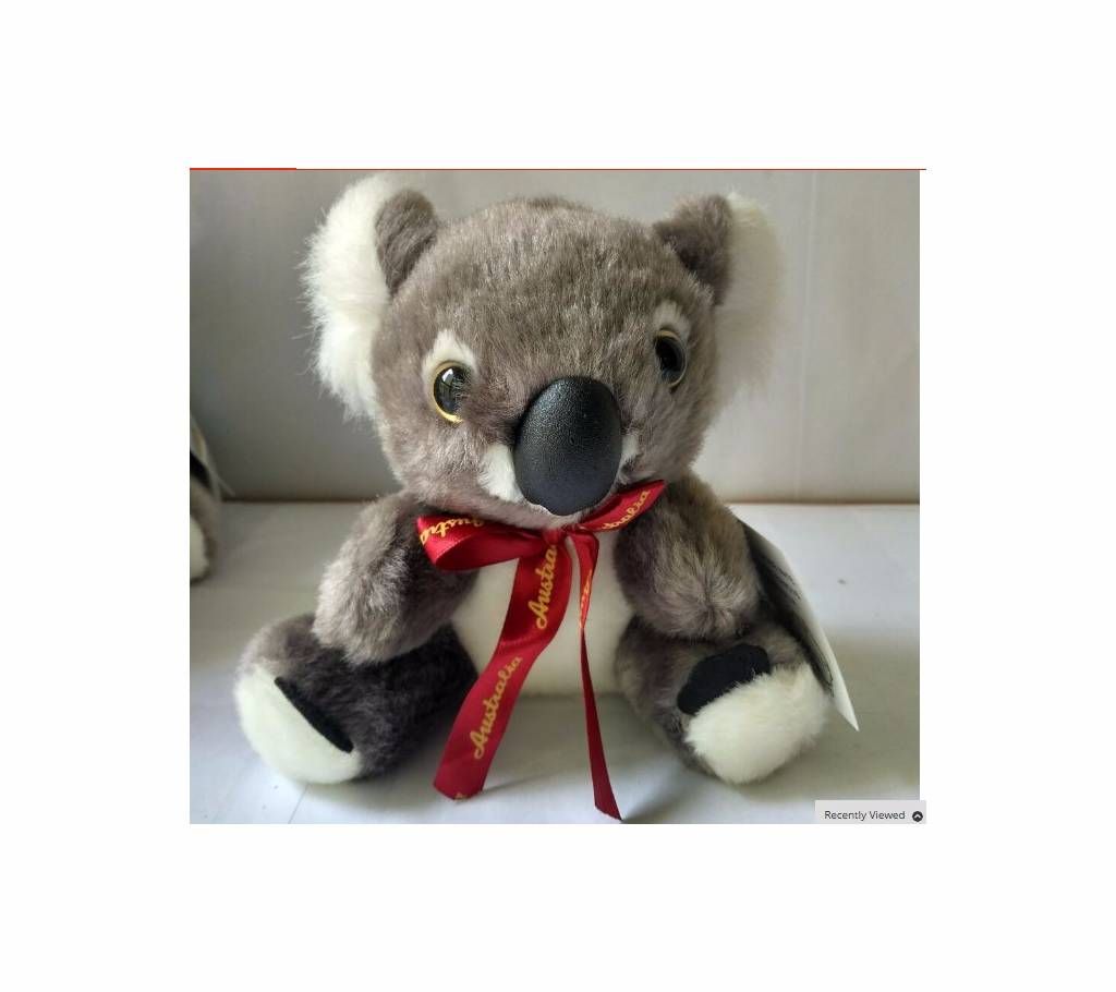 cute koala