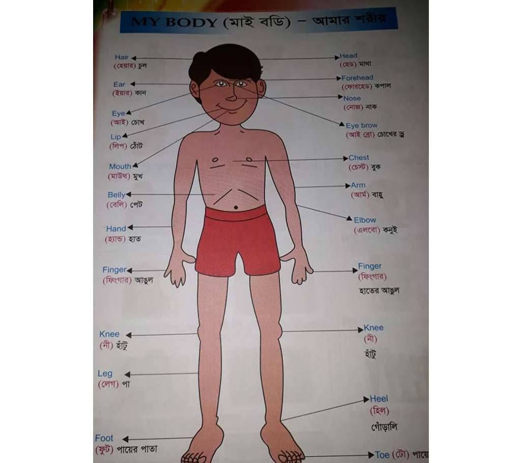 picture word book for kids 