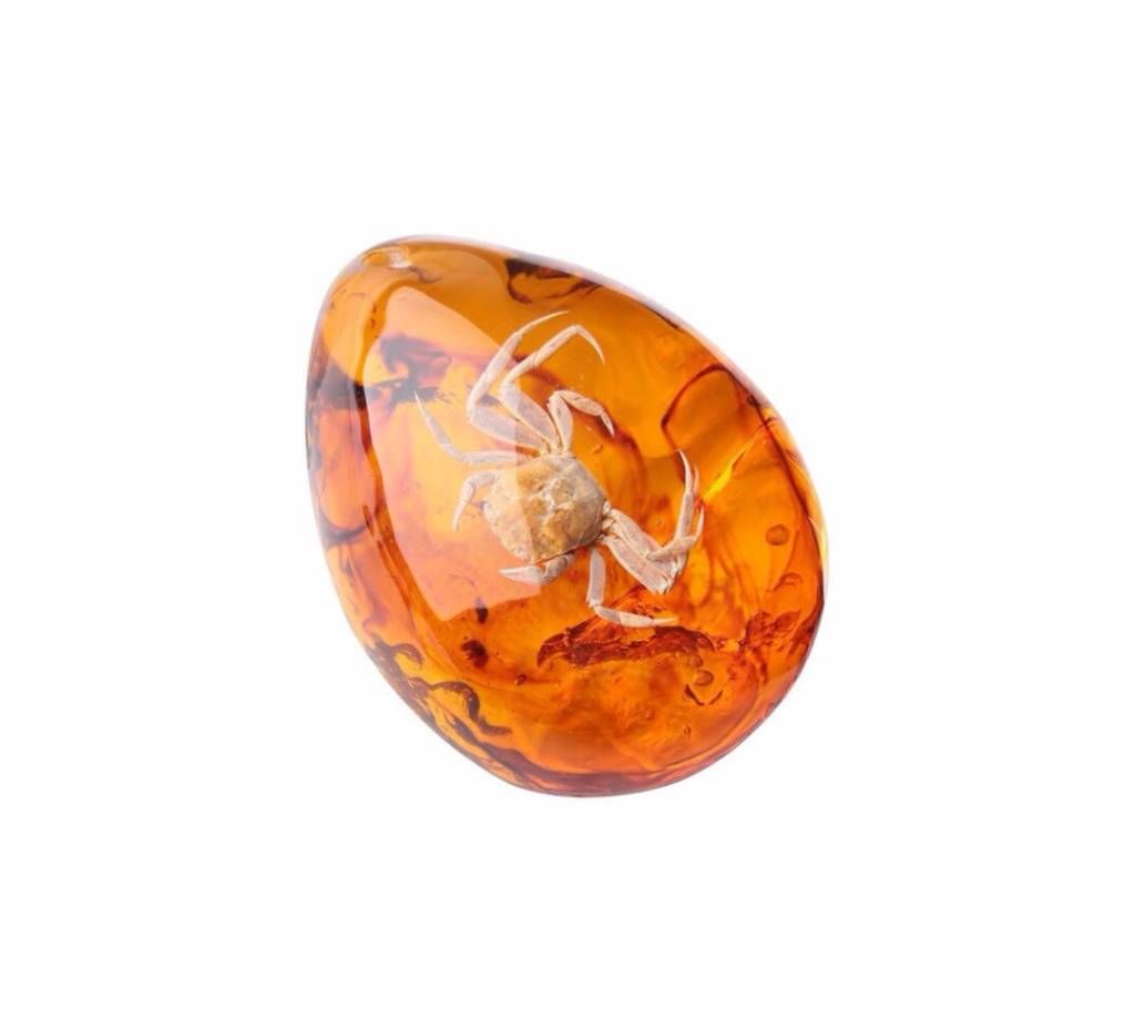 Golden Color Resin  Insects Amber Pendant Gemstone