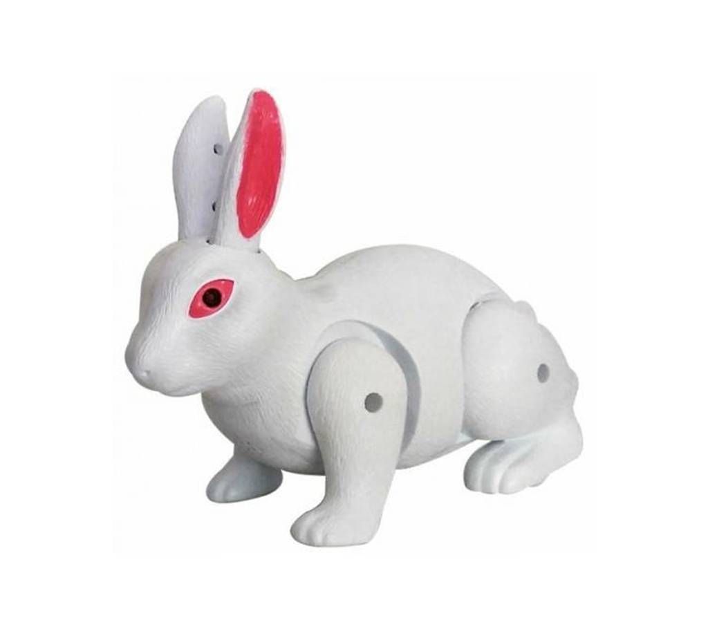 Battery operated Rabbit