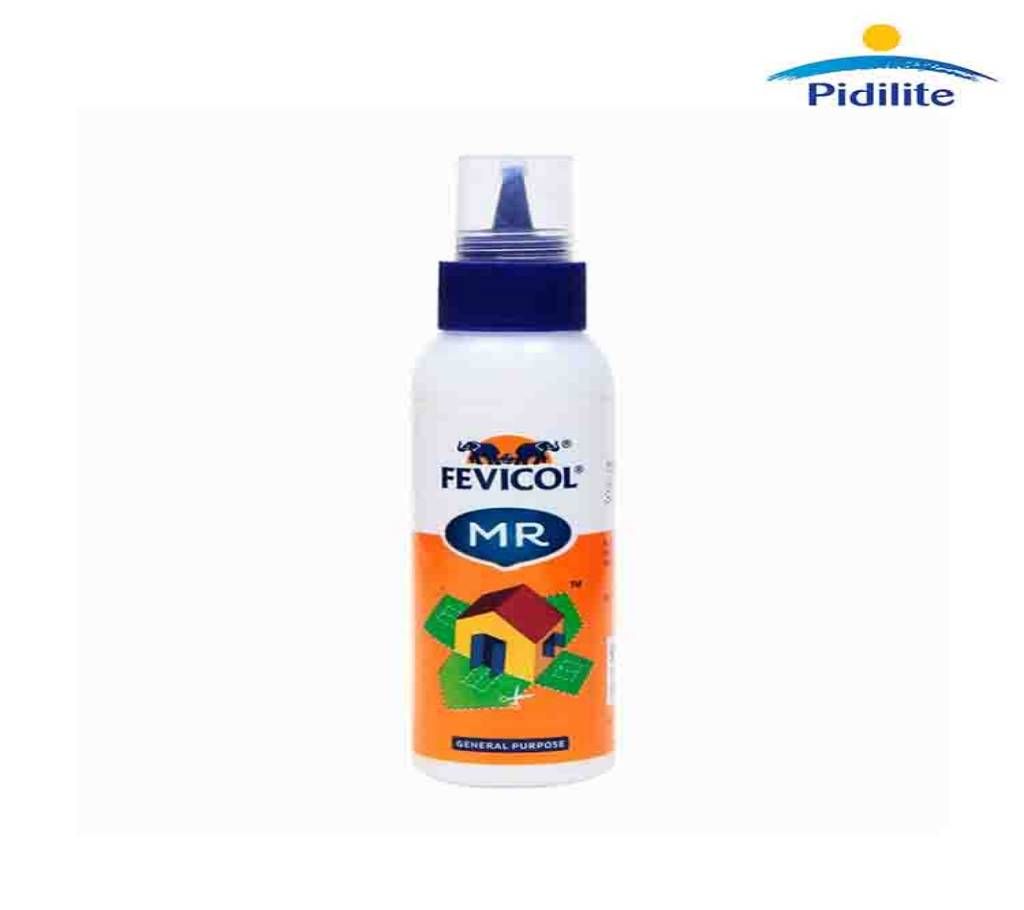 Fevicol Mr White Adhesive, 22.5gm Squeezy
