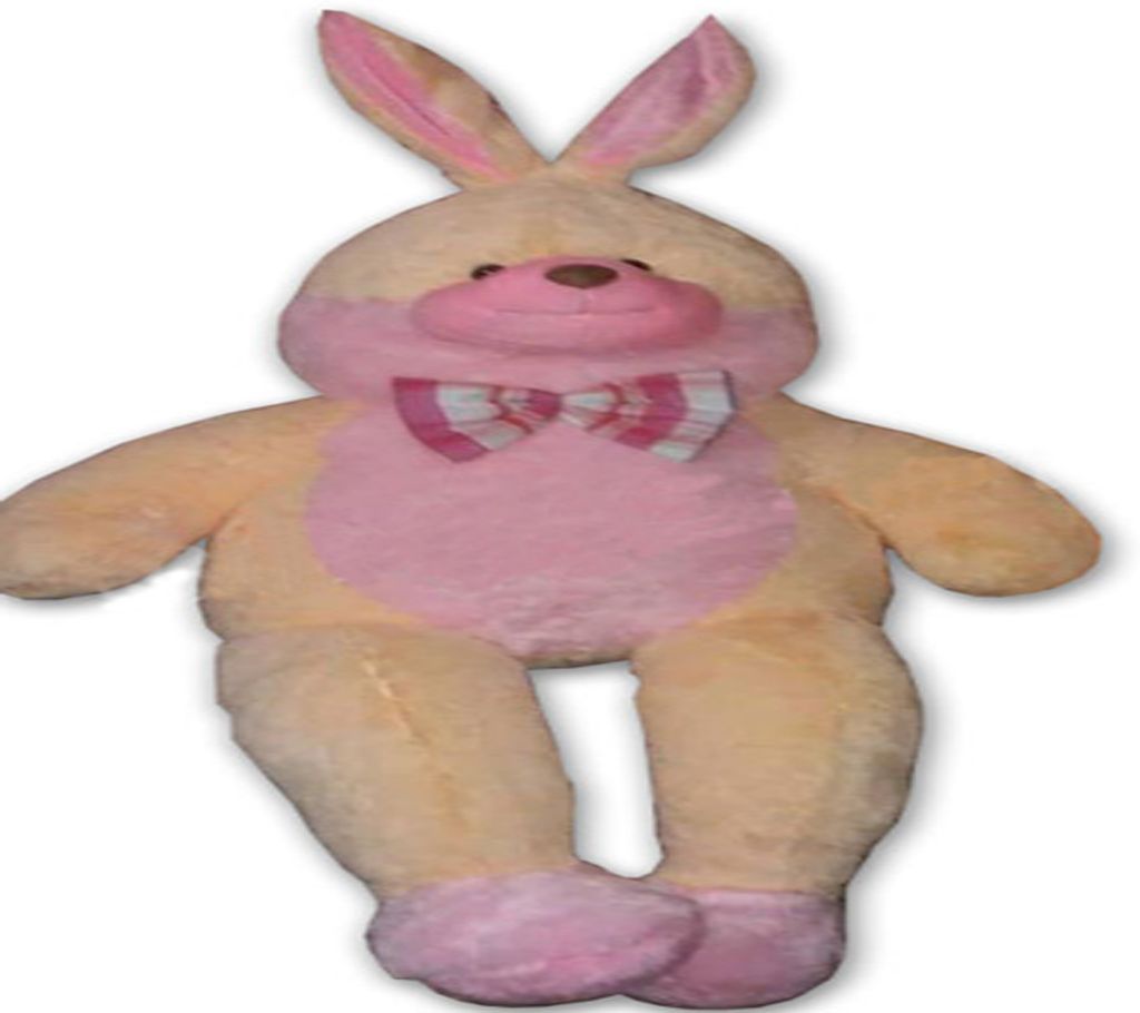 Off white color Rabbit for sale