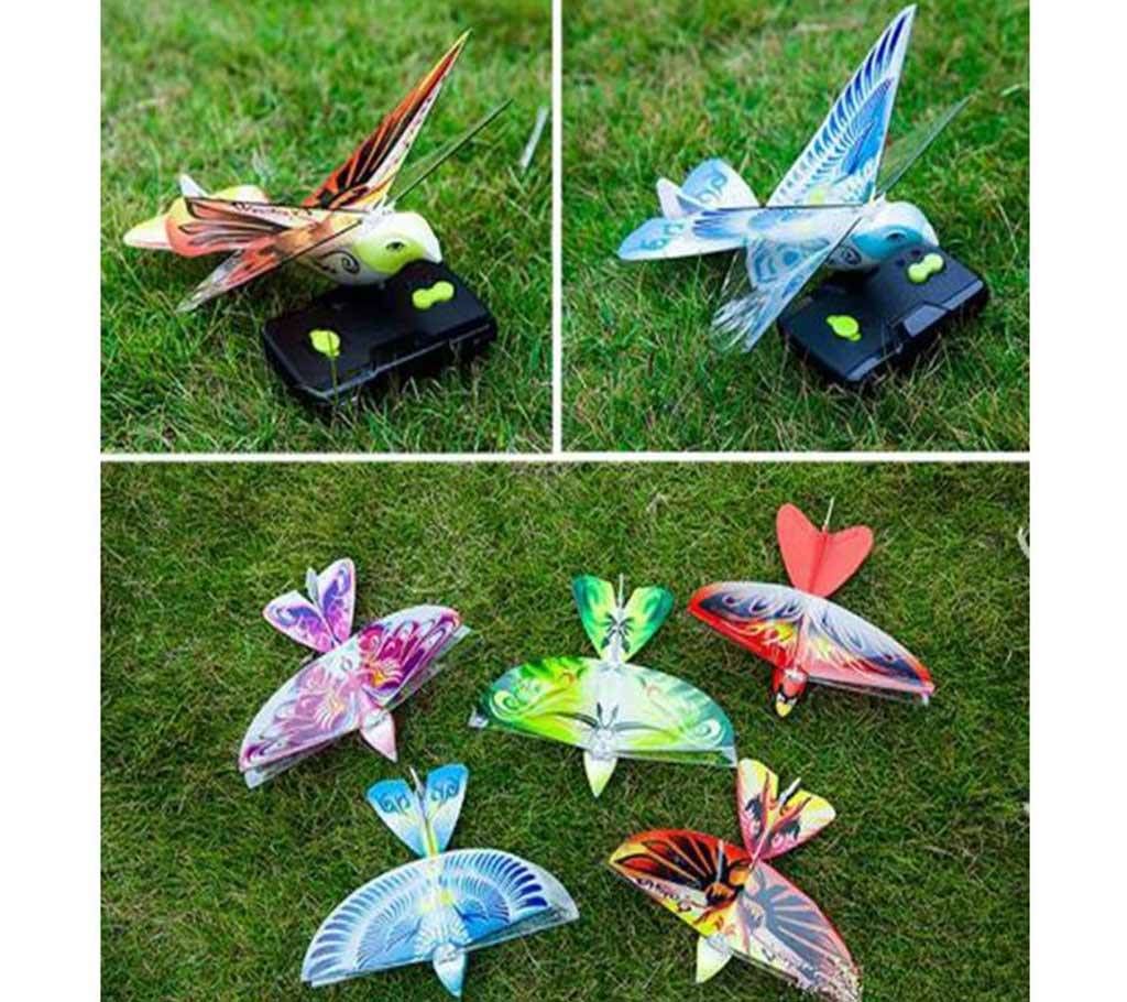 E-bird RC aircraft Parrot