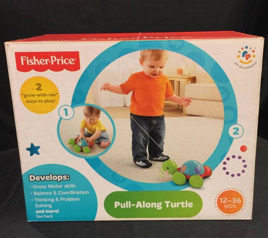 Pull - Along Turtle Toys