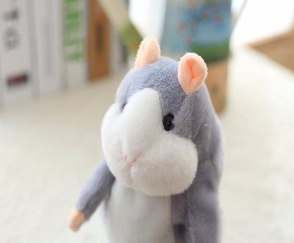 Jumping And Talking Rabbit