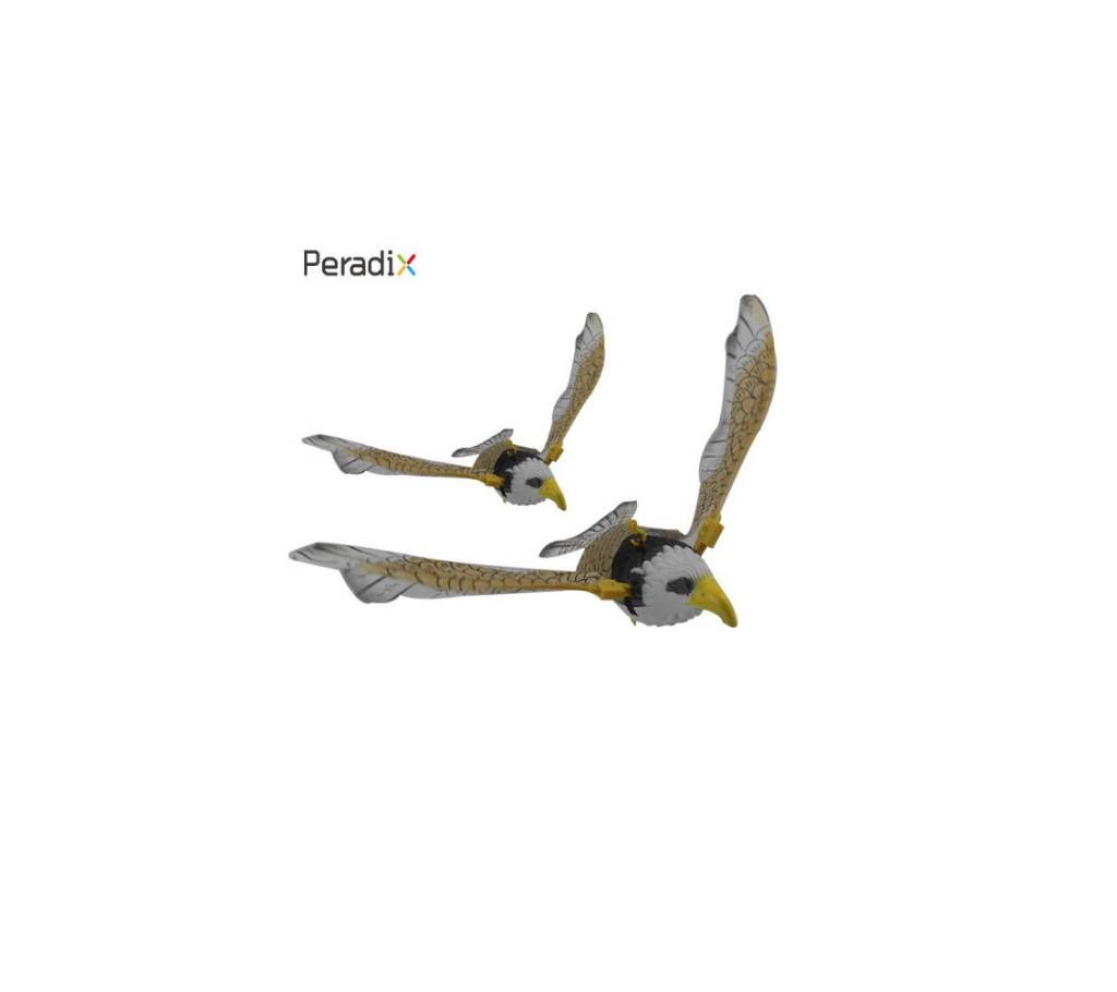 Flying  Eagle