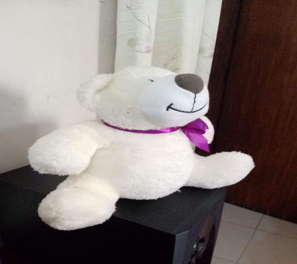 Bear 25 CM