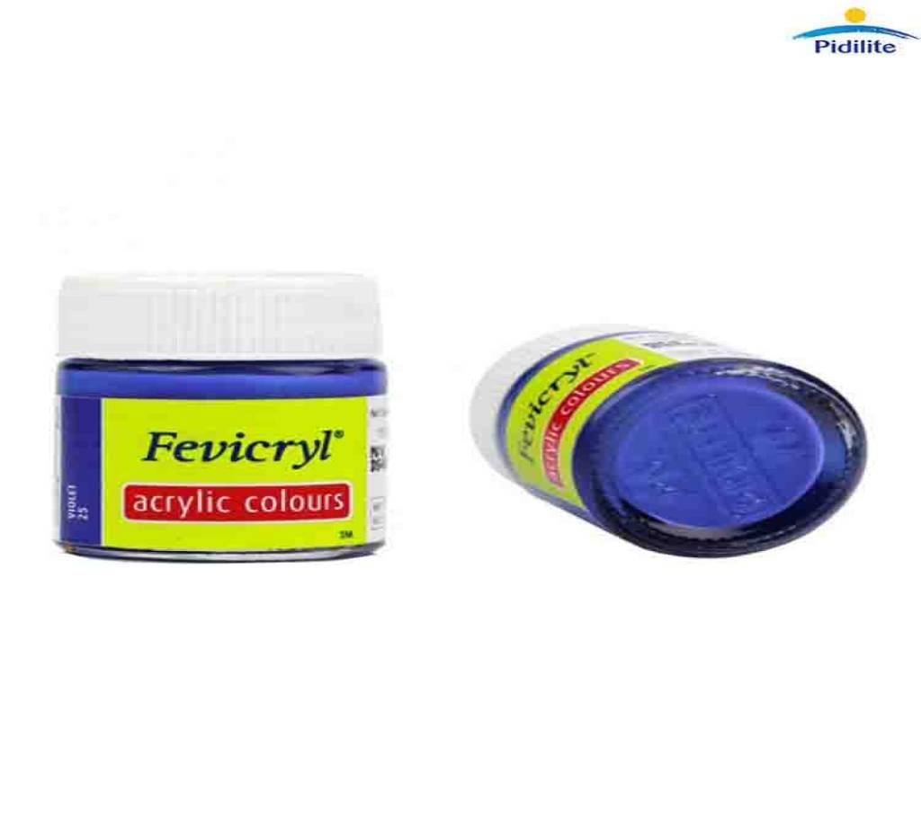 Fevicryl Acrylic Colour Violet 15ml