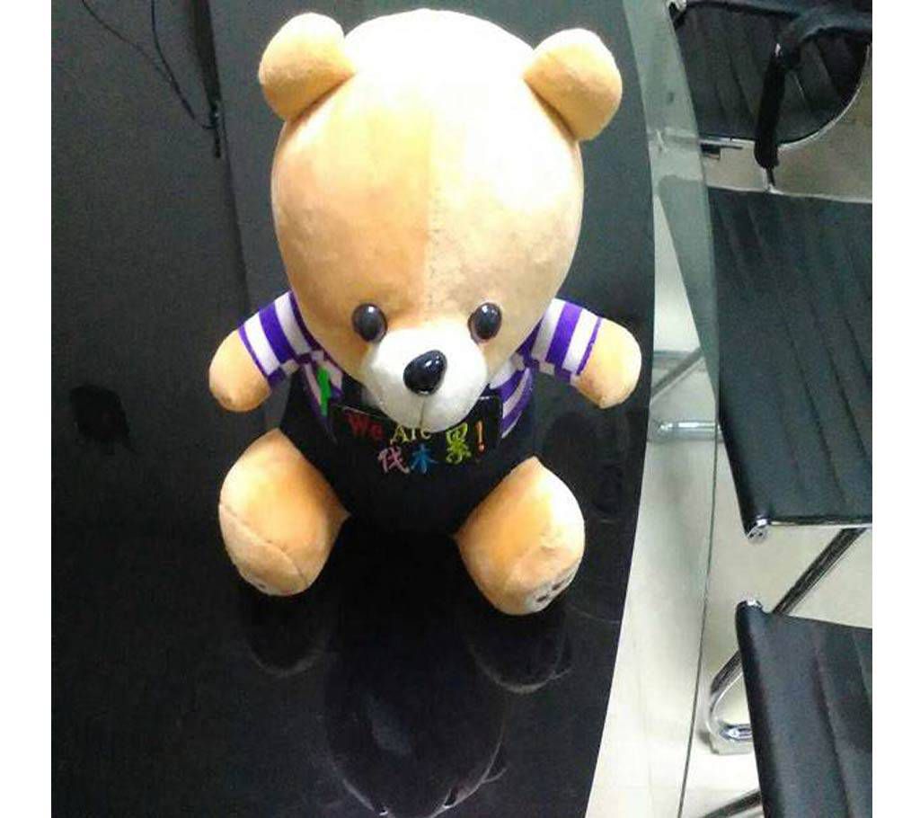 Teddy Bear Soft Toy 