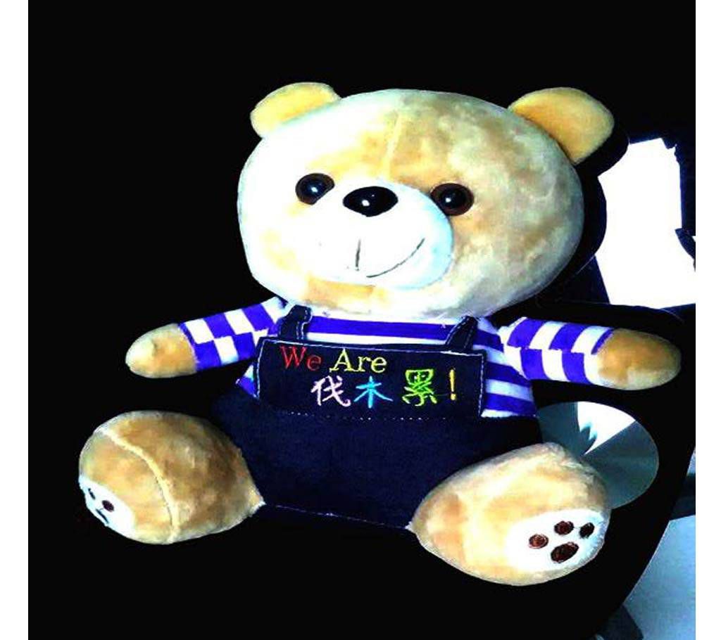 Teddy Bear Soft Toy 