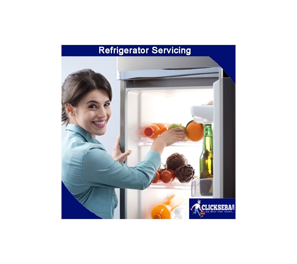Refrigerator Servicing