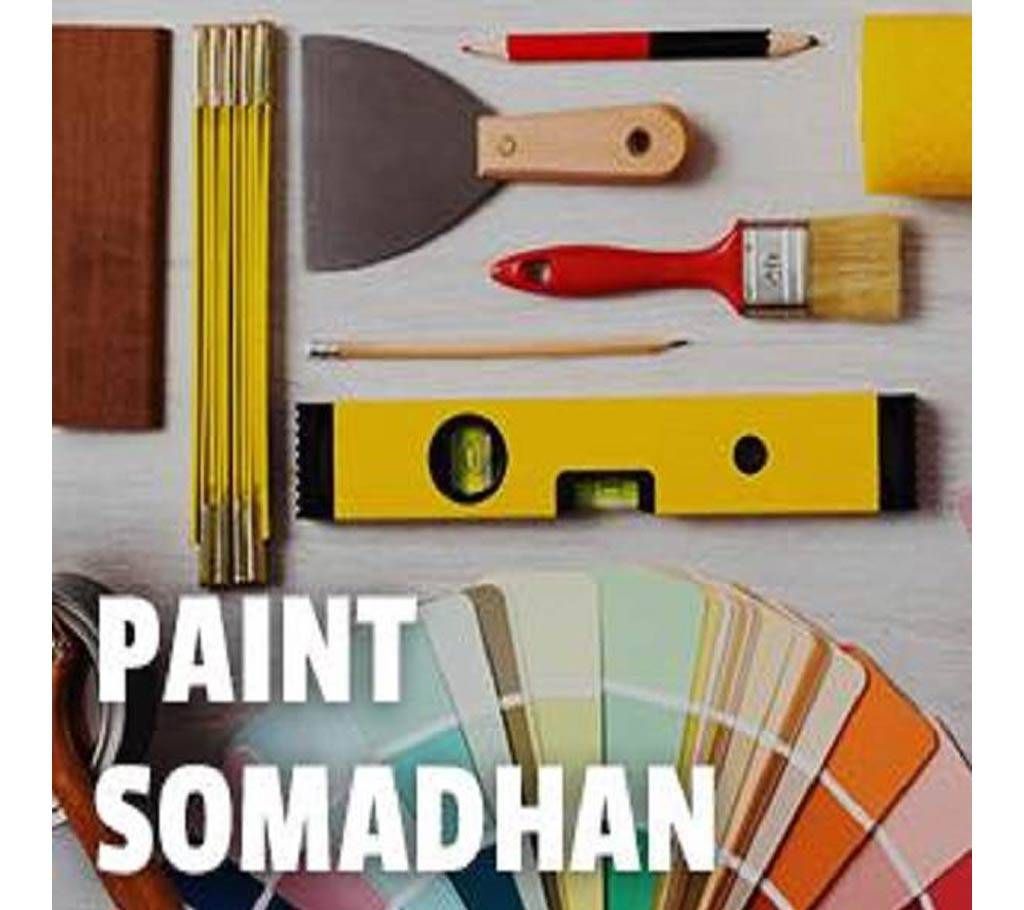 paint somadhan for 100 Sqft