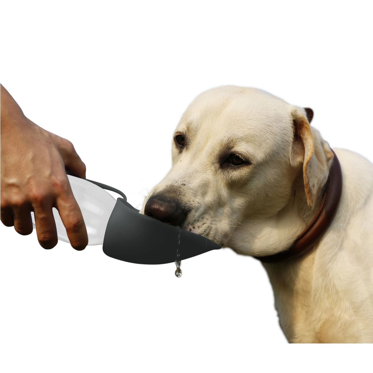 Pet Travel Bottle - Leaf