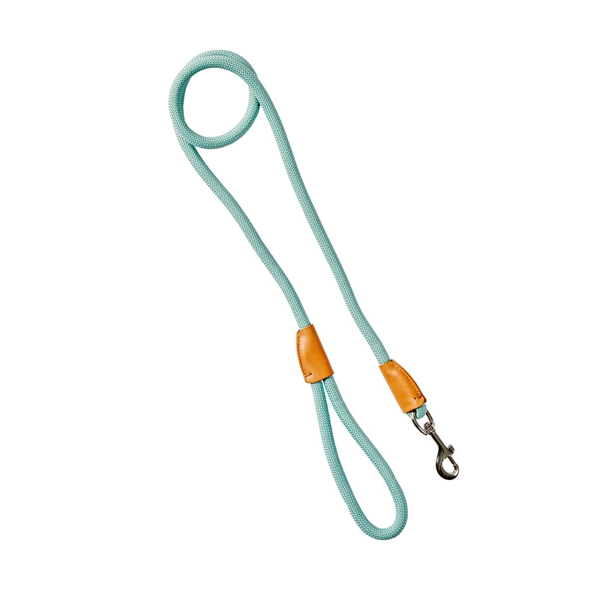 Dog Lead