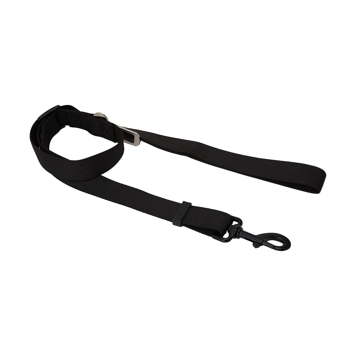 Pet Buckle Lead