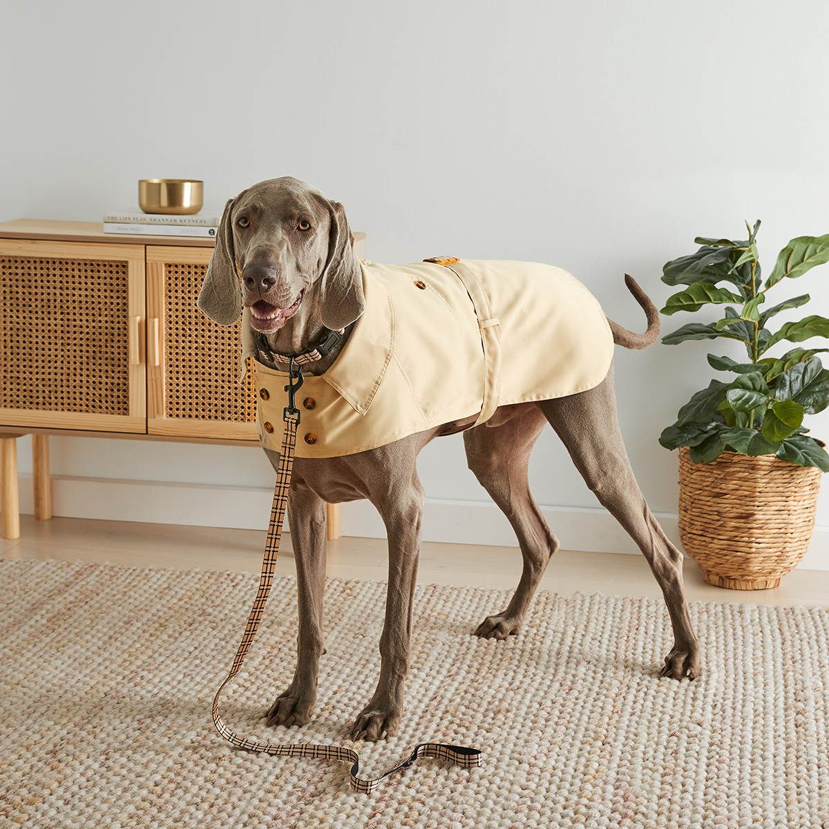 Pet Trench Jacket - Extra Large