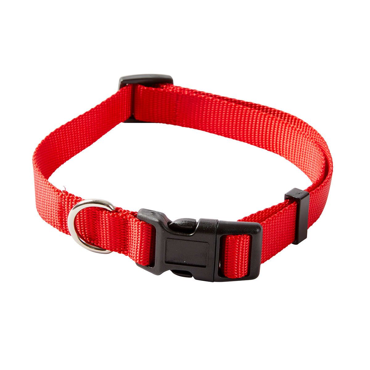 Dog Collar - Medium