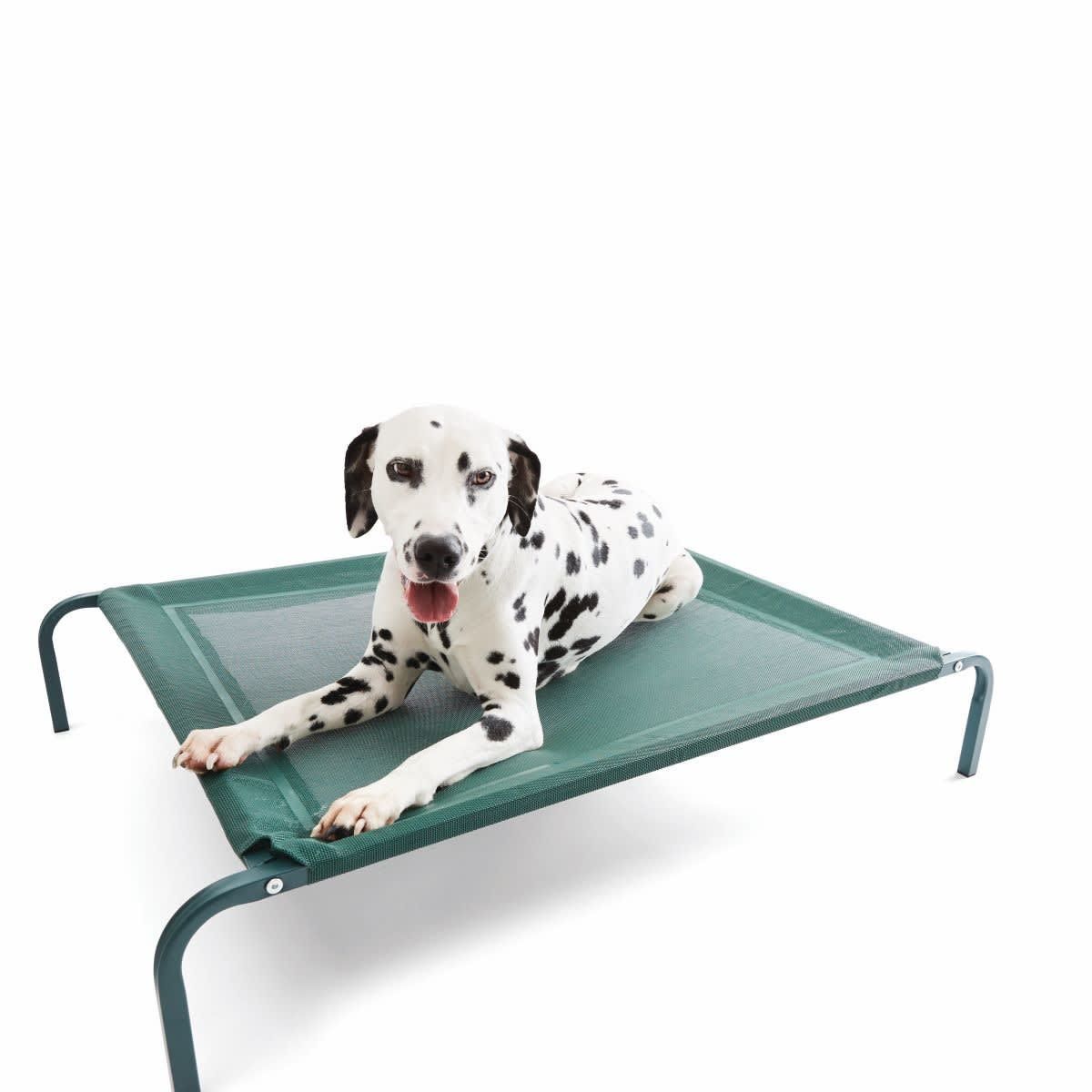 Pet Bed Elevated - Medium