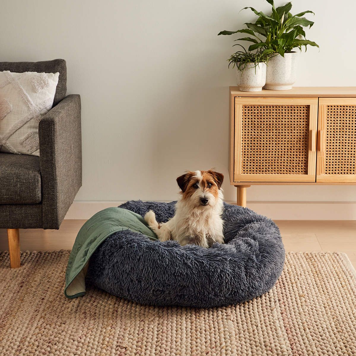 Pet Comfort Bed - Large