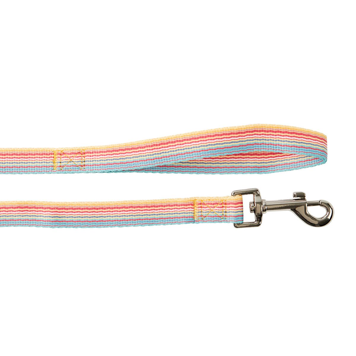 Dog Lead Rainbow