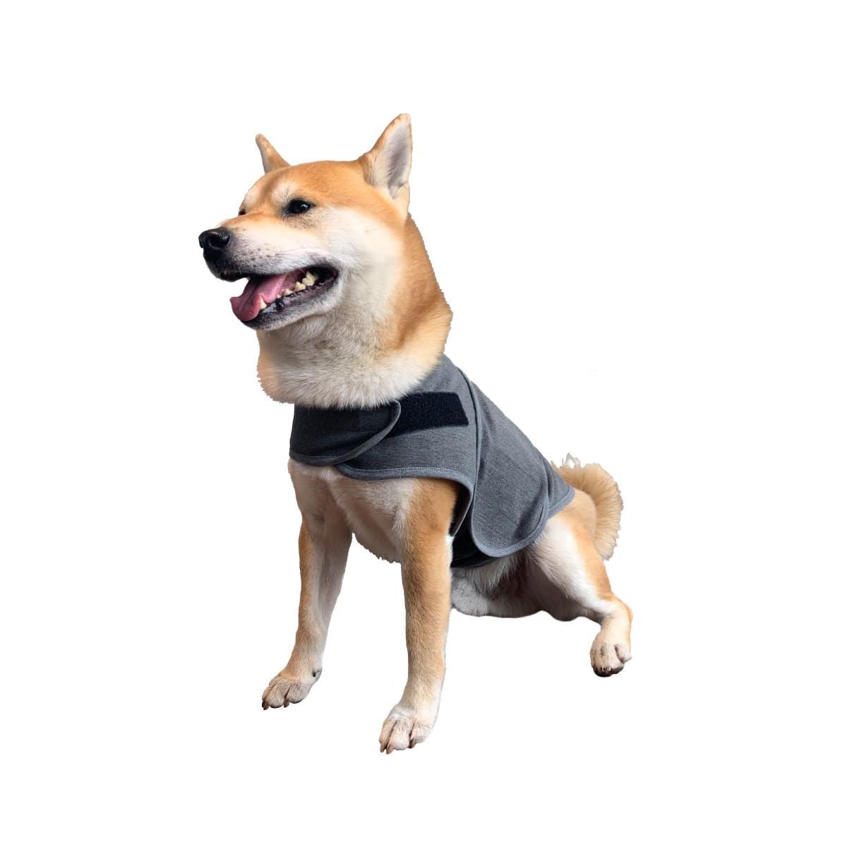 Pet Cuddle Vest - Medium