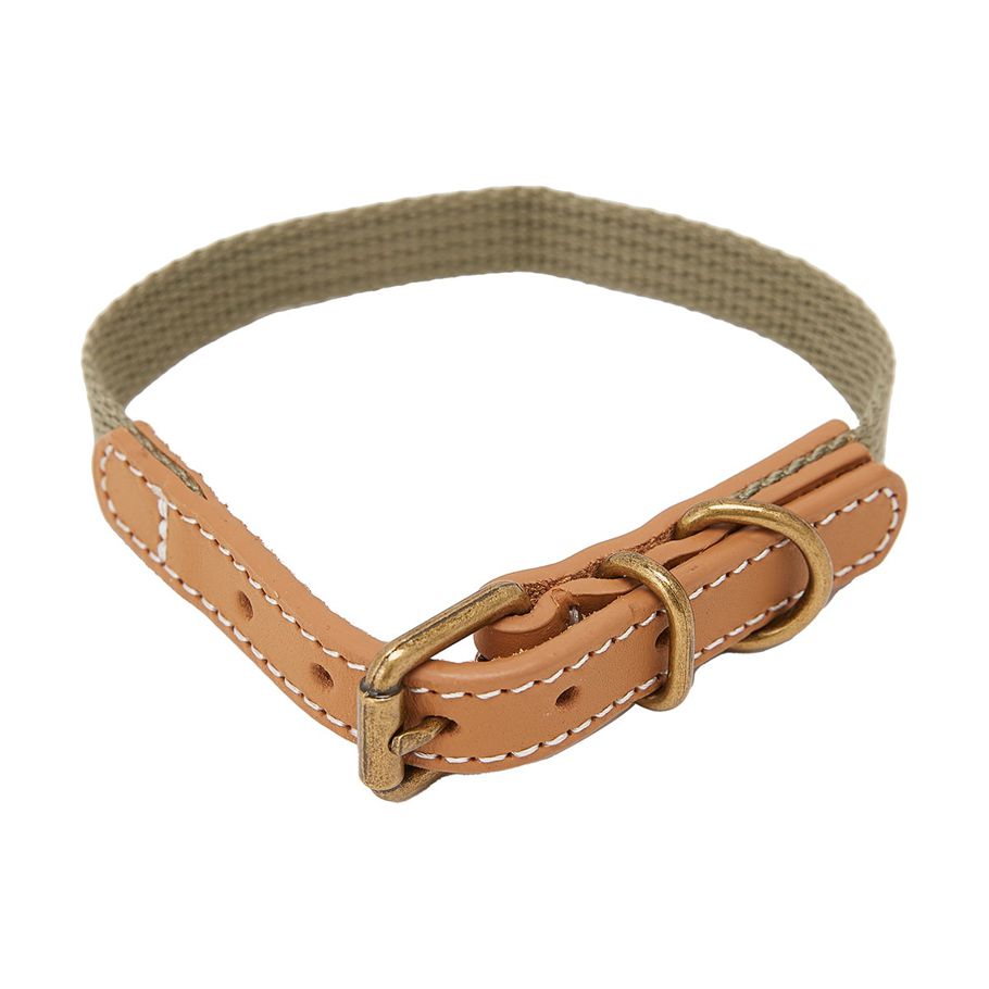 Dog Collar Leather & Canvas - Small