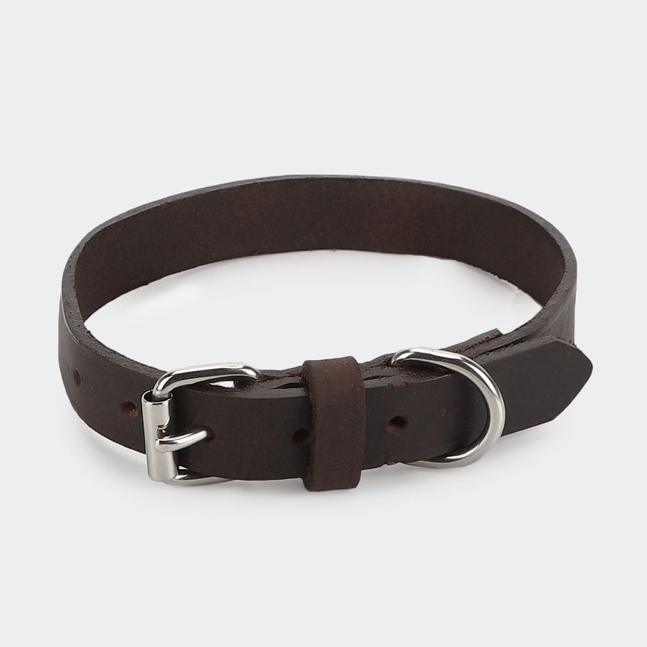 Dog Collar Leather - Medium