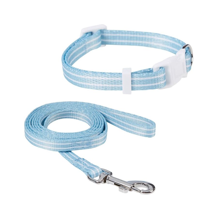 Puppy Collar & Lead - Blue