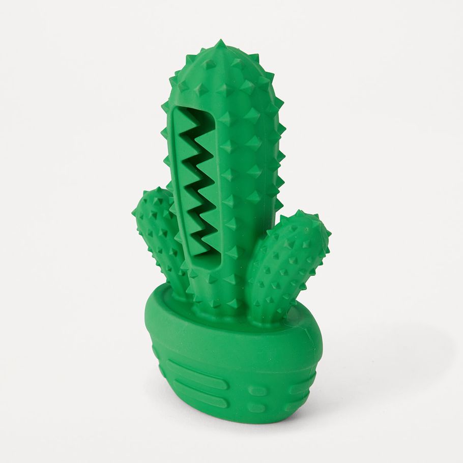 Pet Toy Chew Dental Cactus - Small
