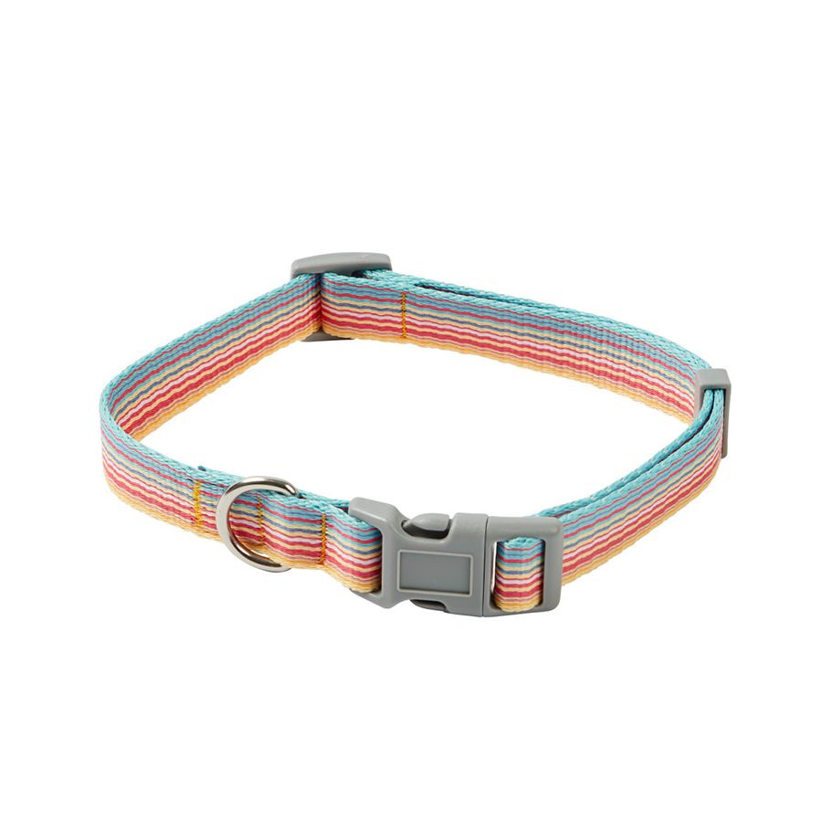 Dog Collar - Medium, Rainbow