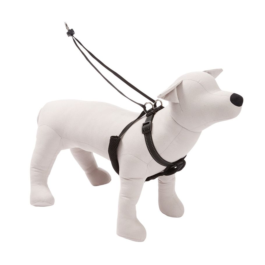 Dog Harness Anti-Pull - Large