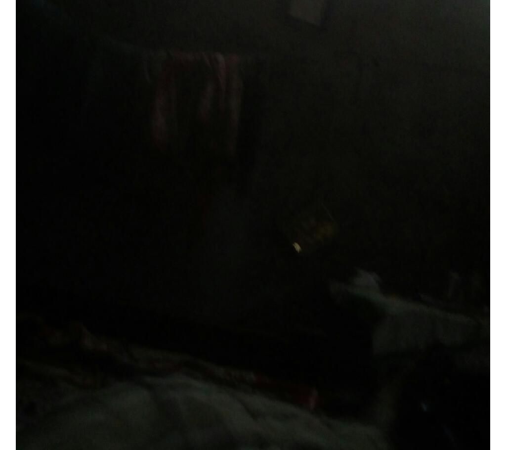 kaloo