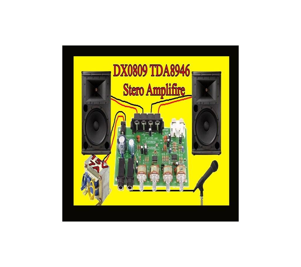 DX0809 TDA 8946 IC Karaoke  60 W Amplifire Board