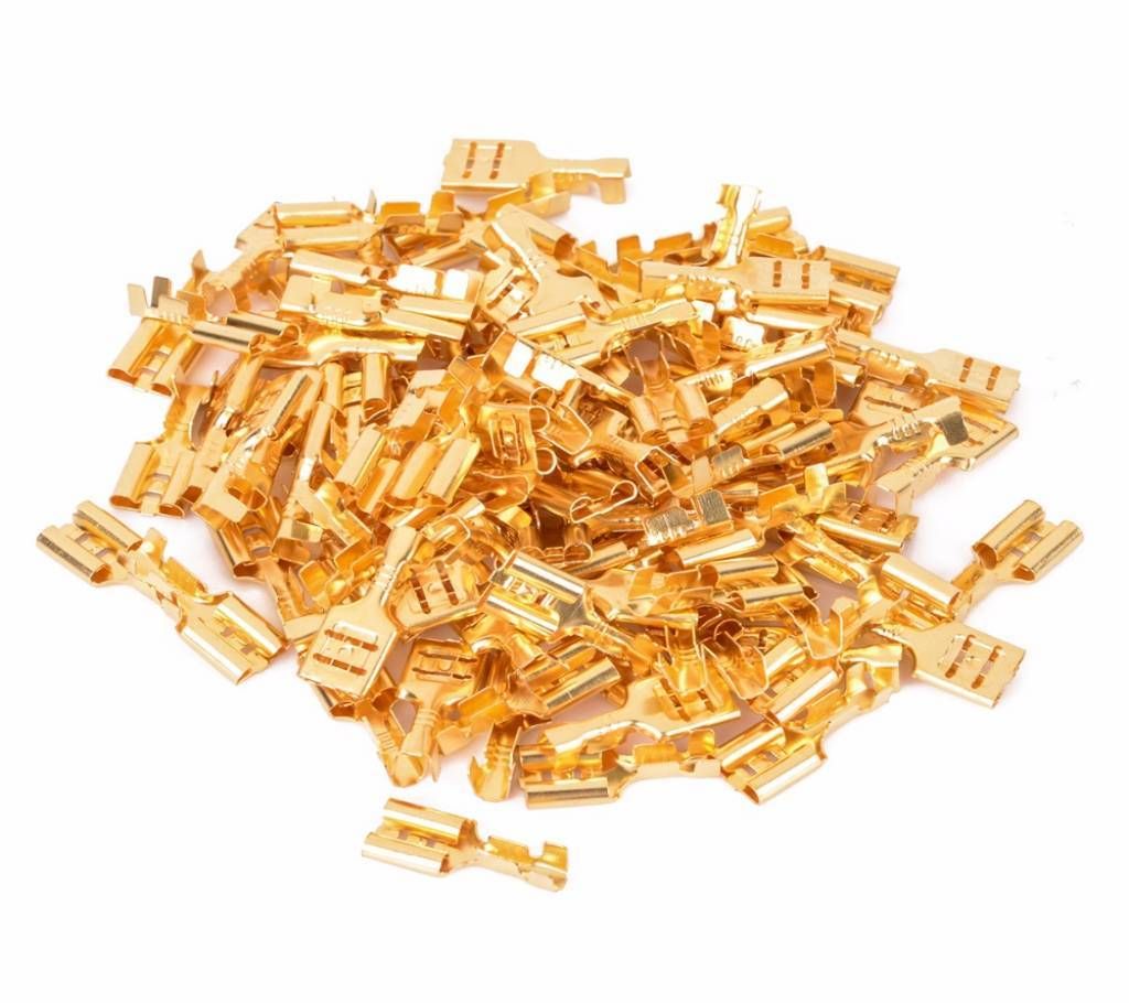 100 Pcs Wire Clip
