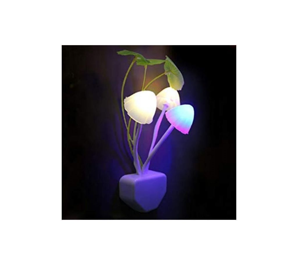 LED Night Lights