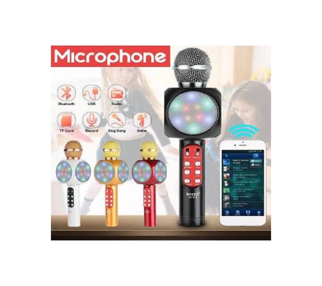 HANDHELD KTV WIRELESS MICROPHONE